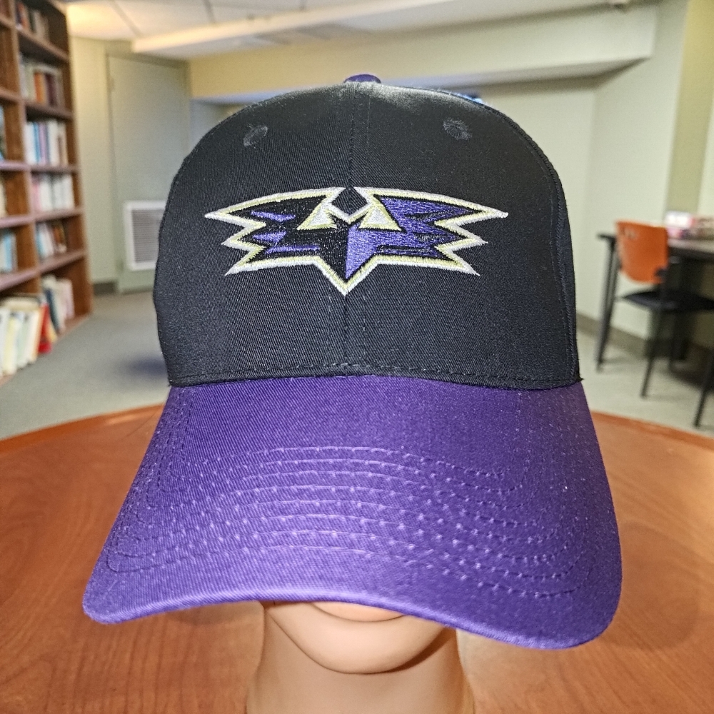 MiLB Louisville Bats Embroidered Logo Black Purple Snapback Hat Cap OSFM